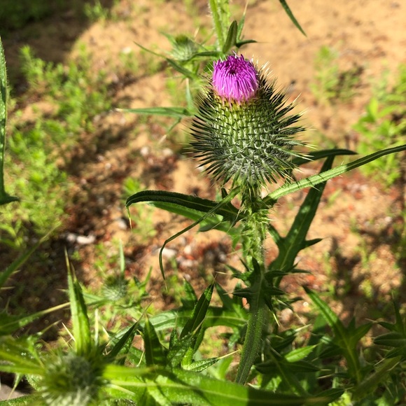 Make reasonable offer - Picture 10 of 15